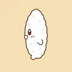 ポルボ・よこがお